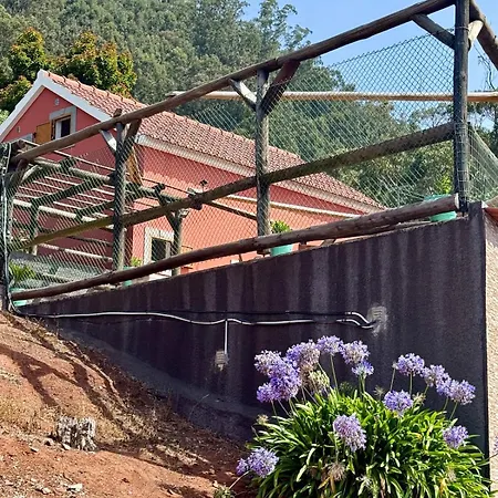 Avo Domingas Mountain Retreat - Unit A *