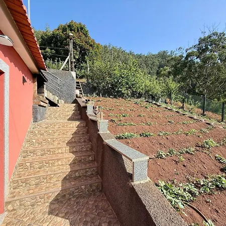 Apartment Avo Domingas Mountain Retreat - Unit A